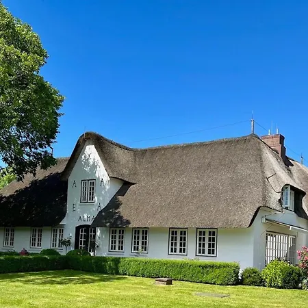 Sylter Seestern App Hortensie *