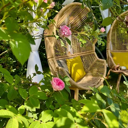 Sylter Seestern App Hortensie Morsum (Sylt)